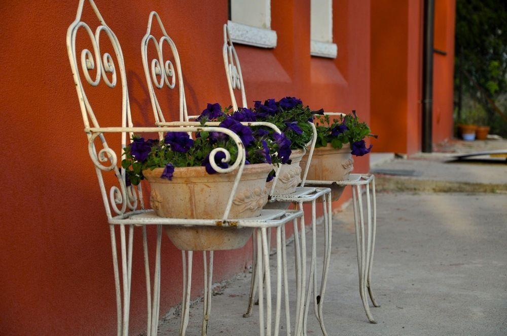 Corte Bassa B&B Beccacivetta Exterior foto