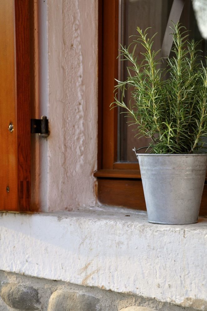 Corte Bassa B&B Beccacivetta Exterior foto
